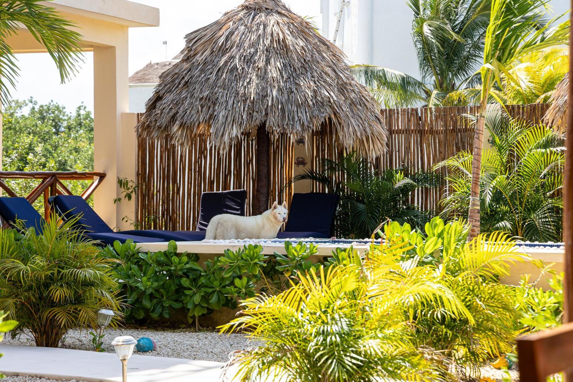 Atenea Holbox Екстериор снимка